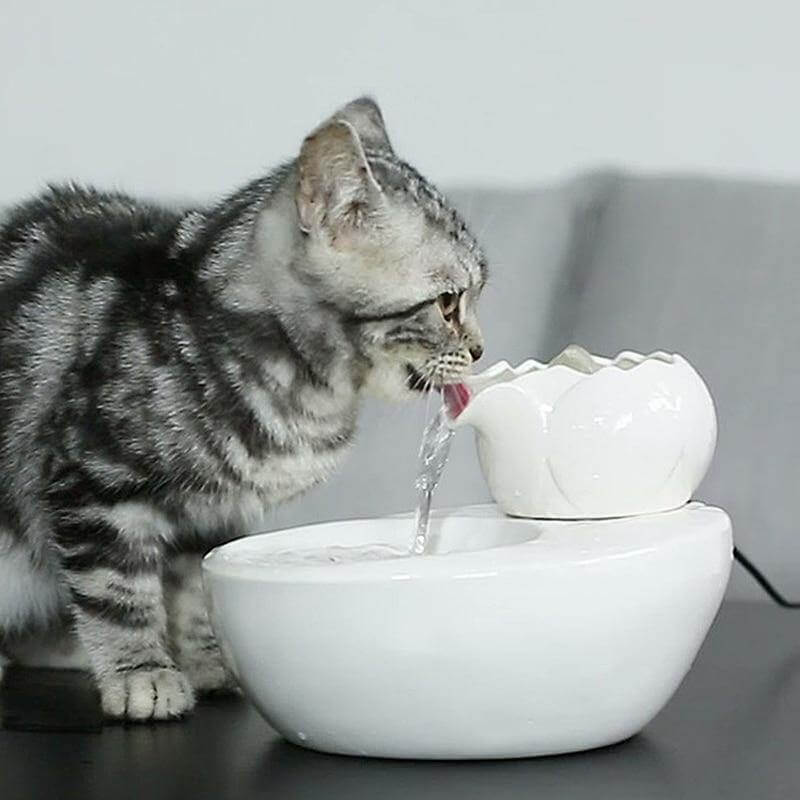Pet Friendly Ceramic Water Fountain - Pexav