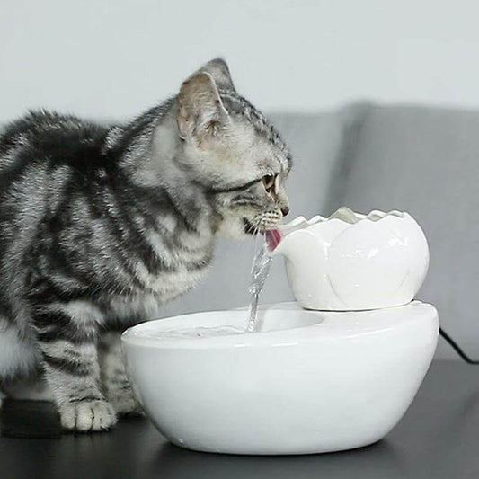 Pet Friendly Ceramic Water Fountain - Pexav