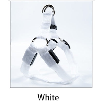 Glowing Adjustable LED Pet Leash