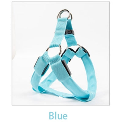 Glowing Adjustable LED Pet Leash