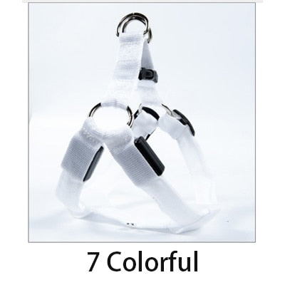 Glowing Adjustable LED Pet Leash