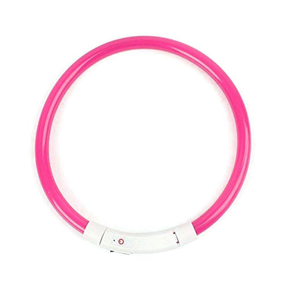 Bright Safety LED Pet Glow Collar - Pexav