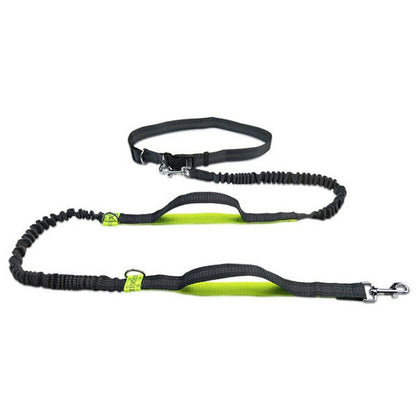 Adjustable Comfort Dog Walking Leash