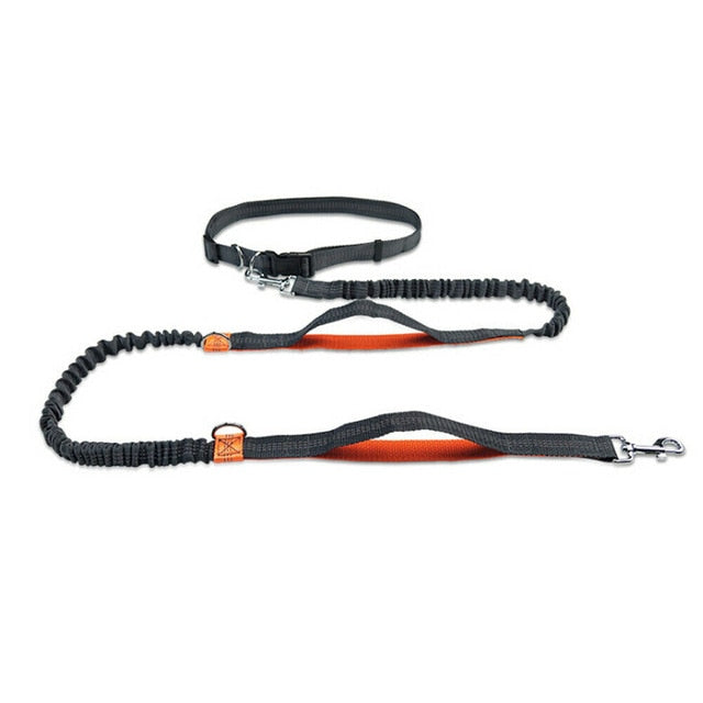 Adjustable Comfort Dog Walking Leash