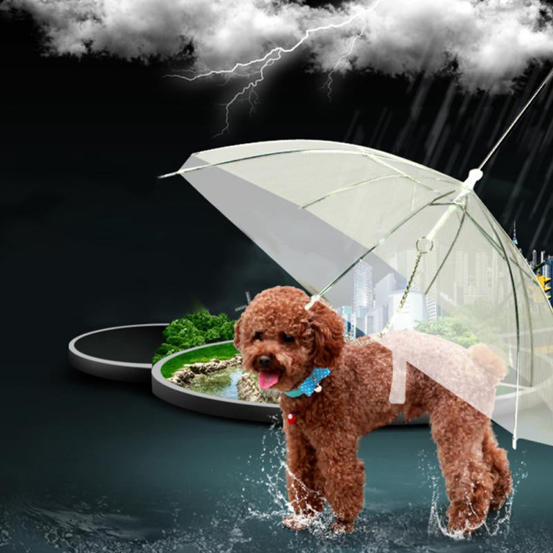Clear Canine Rain Umbrella - Pexav