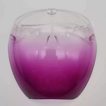 Clear Protective Full Face Mask Shield