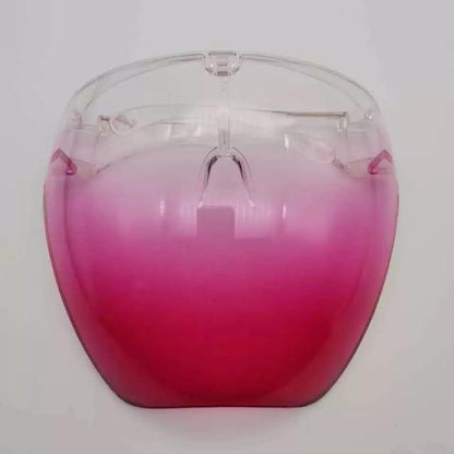 Clear Protective Full Face Mask Shield