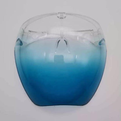 Clear Protective Full Face Mask Shield