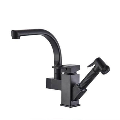 Dual Function 360 Swivel Kitchen Faucet
