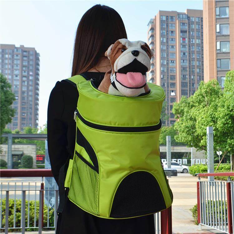 Compact Folding Pet Travel Bag - Pexav