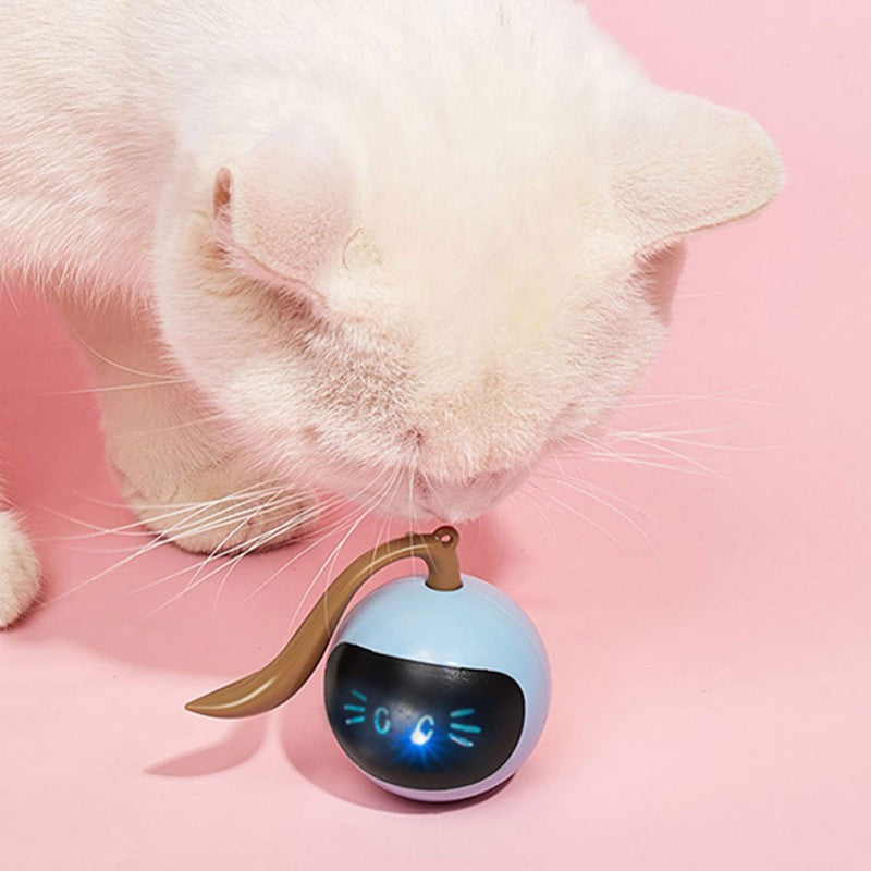 Automatic Spinning Cat Toy - Pexav
