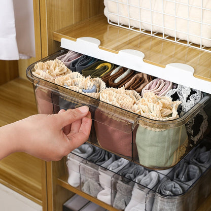 Clear Closet Storage Organizer System - Pexav
