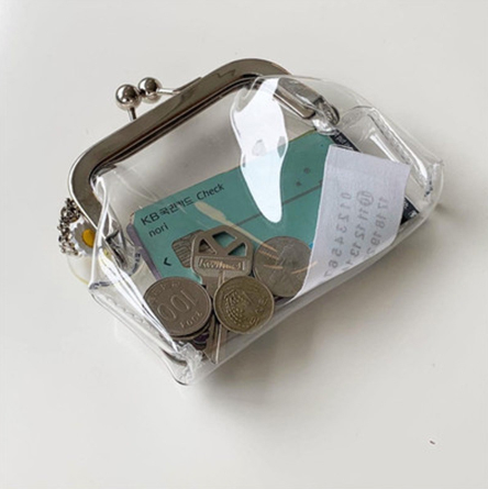 Clear Simple Metal Frame Handbag - Pexav