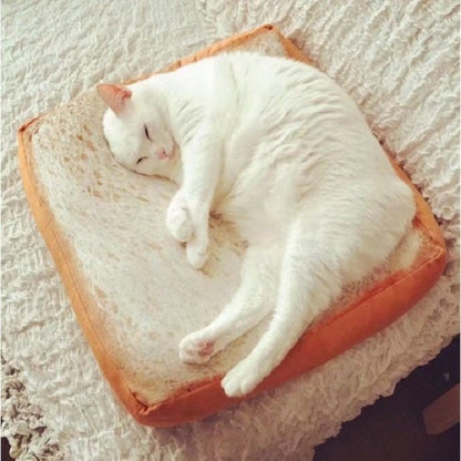 Cozy Heated Kitty Sleeping Bed - Pexav