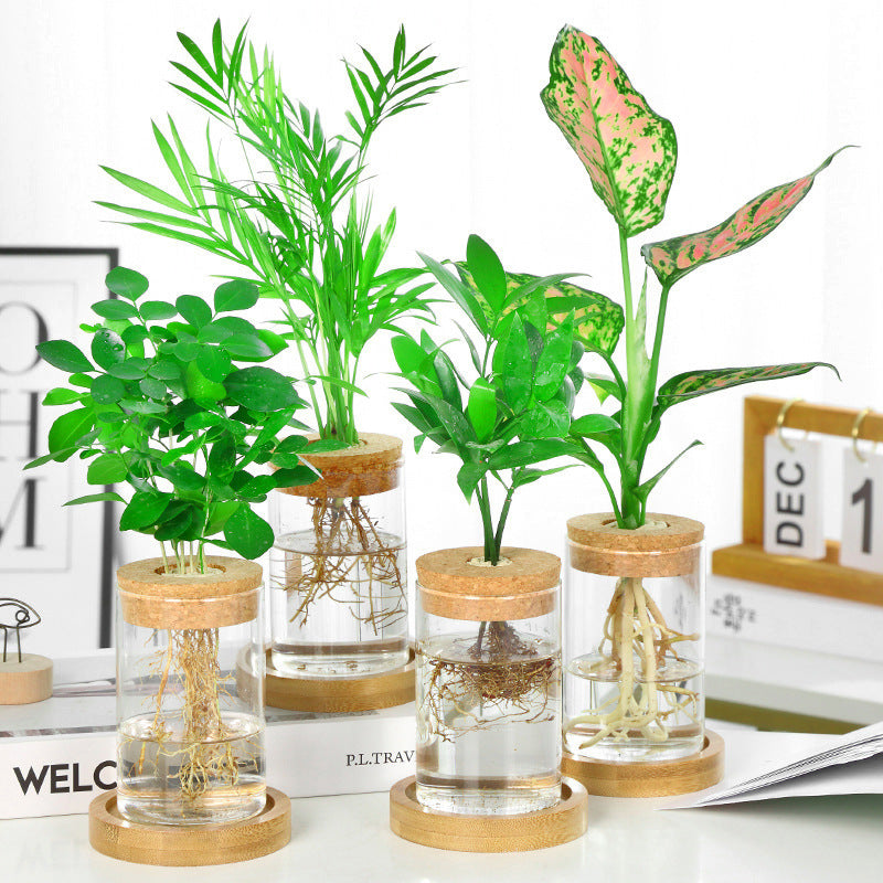 Clear Glass Wooden Floral Vase - Pexav