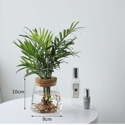 Clear Glass Wooden Floral Vase