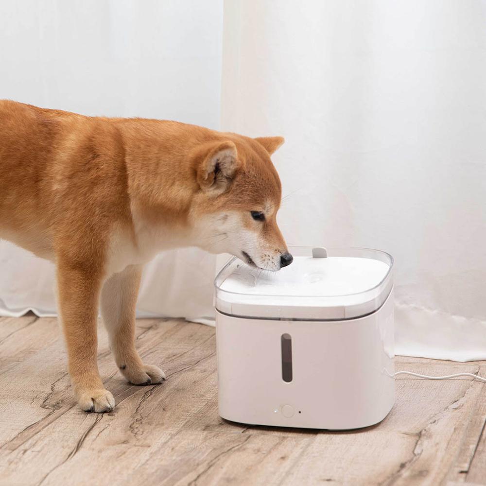 Easy Fill Auto Pet Water Bowl - Pexav