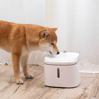 Easy Fill Auto Pet Water Bowl - Pexav