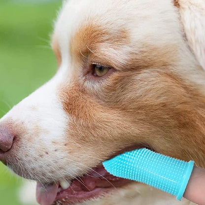 Gentle Pet Dental Finger Brush - Pexav