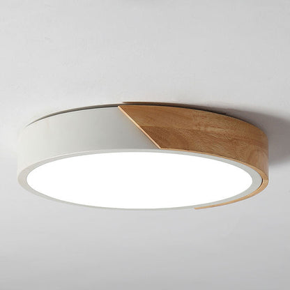 Stylish LED Overhead Lamp