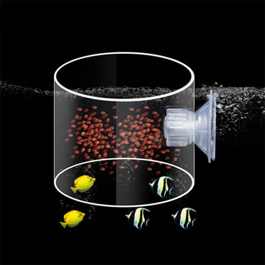 Clear Acrylic Suction Cup Fish Feeder - Pexav
