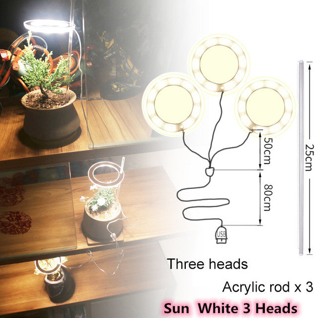 Indoor 5V LED Grow Plant Lamp
