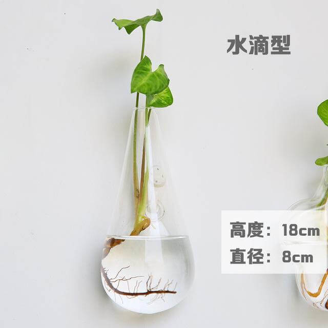 Unique Glass Geometric Wall Terrarium Container