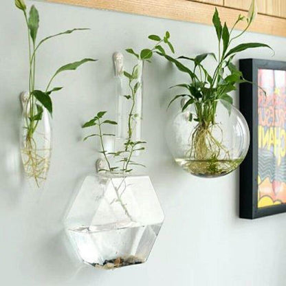Unique Glass Geometric Wall Terrarium Container - Pexav