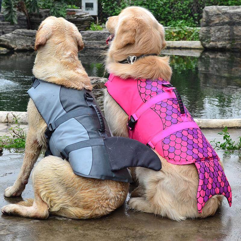 Pet Dog Life Jacket Vest - Pexav