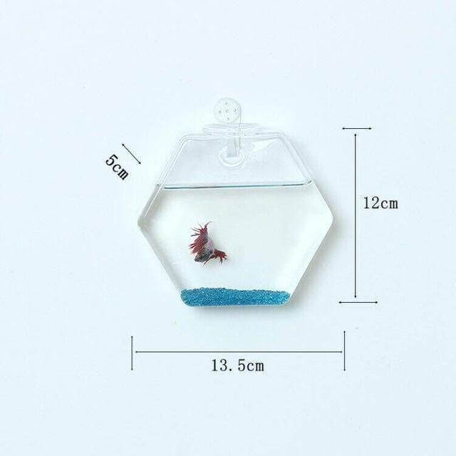 Unique Glass Geometric Wall Terrarium Container