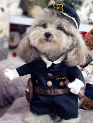 Fun Police Pet Outfit