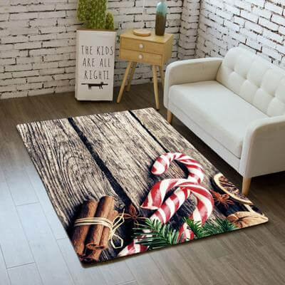 Anti Slip Indoor Area Rug