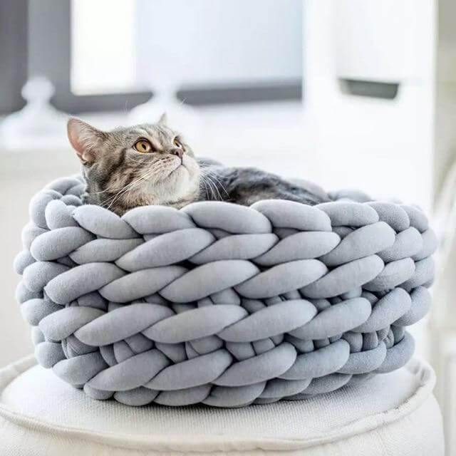 Cozy Homemade Pet Blanket Bed