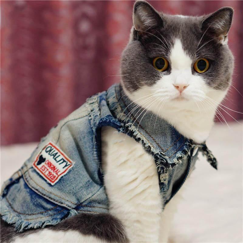 Stylish Pet Denim Vest Jacket - Pexav