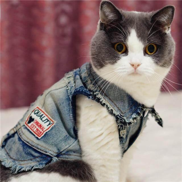Stylish Pet Denim Vest Jacket