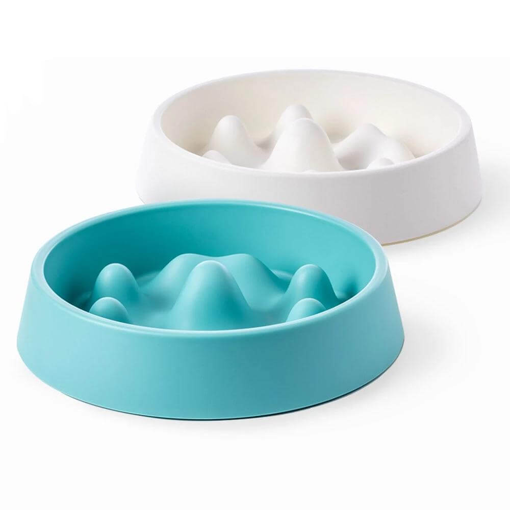 Healthy Slow Feeding Pet Bowl - Pexav