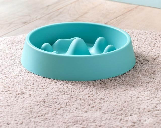 Healthy Slow Feeding Pet Bowl