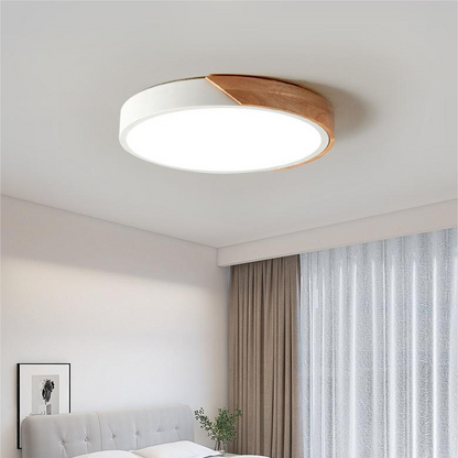 Simple White LED Ceiling Fixture Flush Mount Light