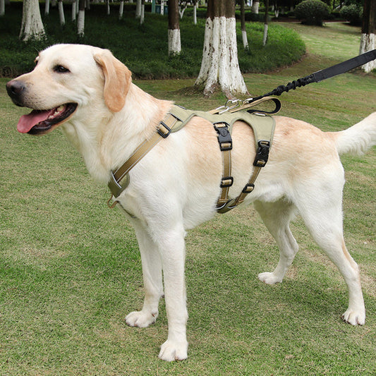 Comfortable No-Pull Dog Vest - Easy Control Harness - Pexav