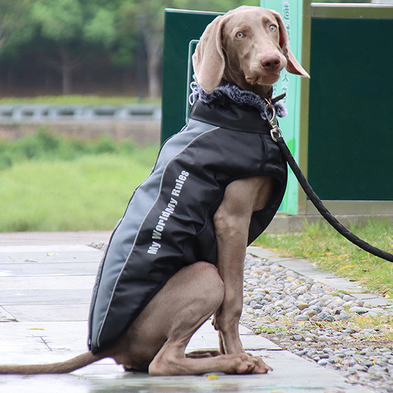 Reflective Dog Jacket with Harness - GlowPaw™-Gray-S-Nora Luxe