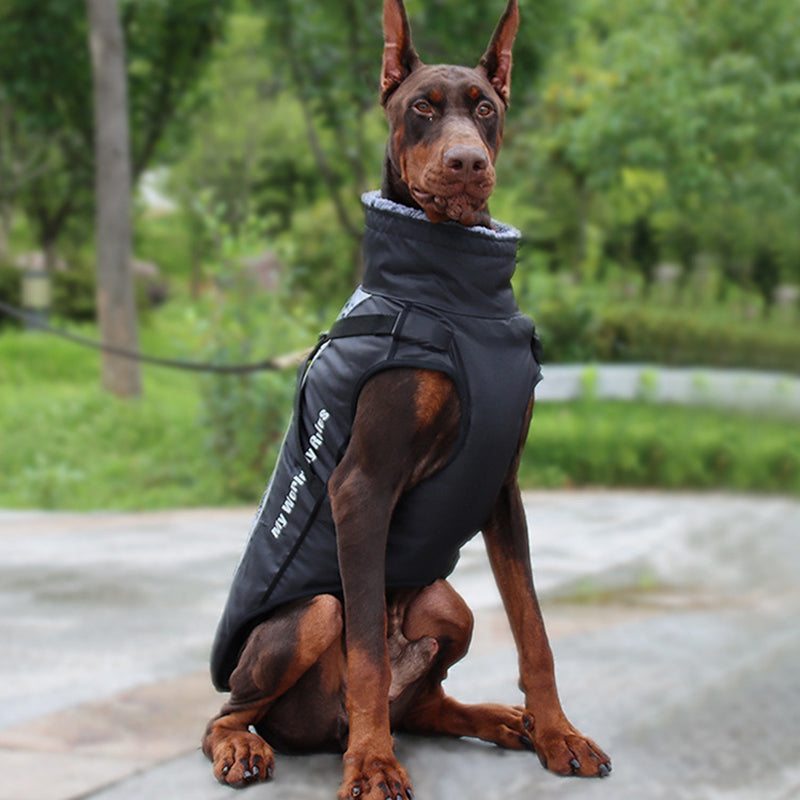 Reflective Dog Jacket with Harness - GlowPaw™-Gray-S-Nora Luxe