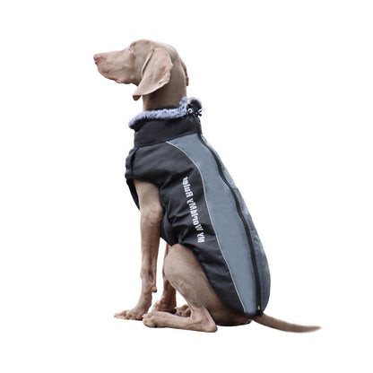 Visible Pet Vest with Harness - Pexav
