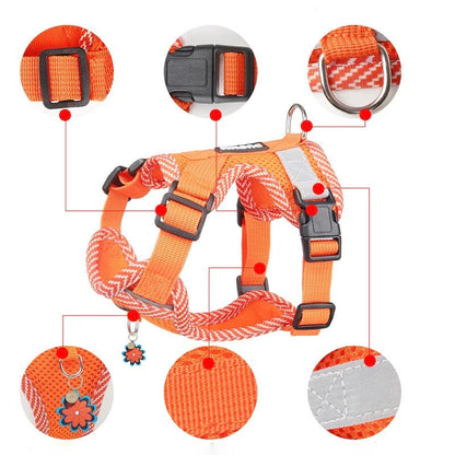 Reflective Harness and Leash Set for Small Dogs - AirFlex-Heavenly Blue-S-Nora Luxe