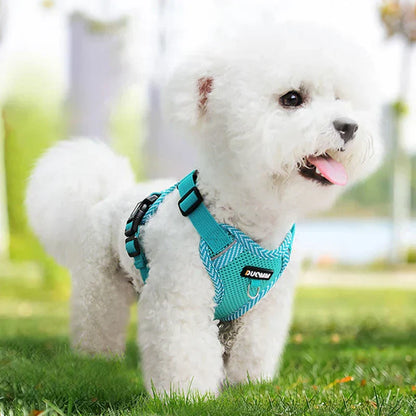 Adjustable Padded Harness and Leash for Small Dogs - Pexav