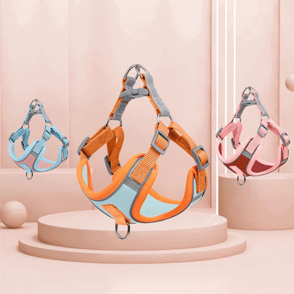 Reflective Puppy Harness - BrightPaw-Blue-S(5.51-8.82 lbs)-Nora Luxe