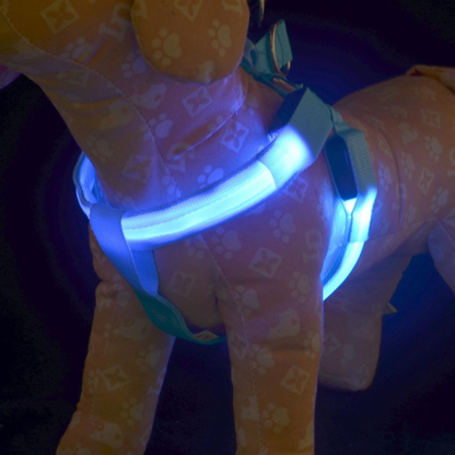 Glowing Adjustable LED Pet Leash - Pexav