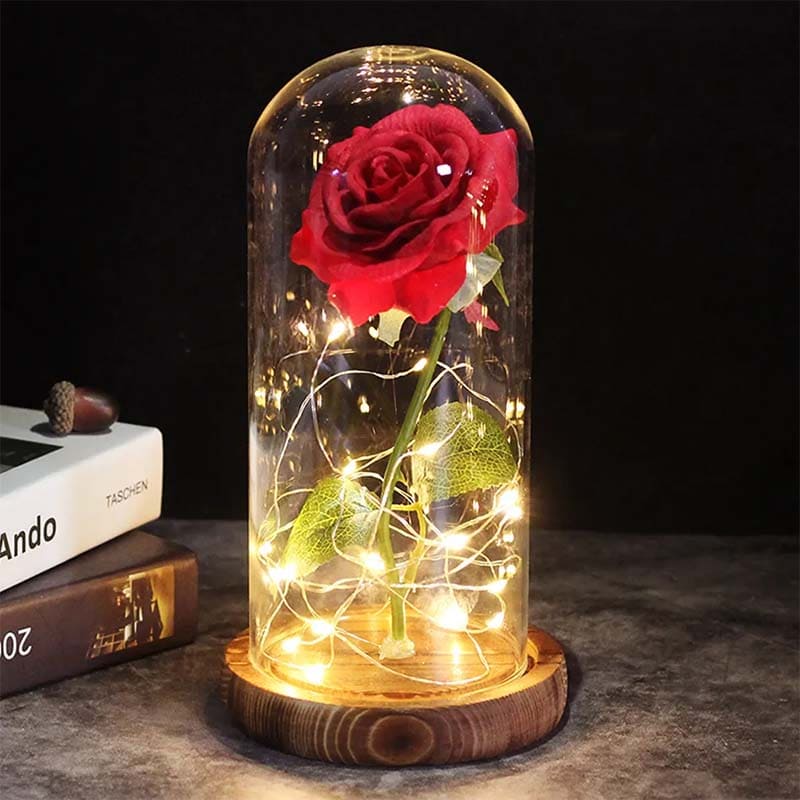 Beautiful Under Glass Fairy Lights Aurora - Pexav