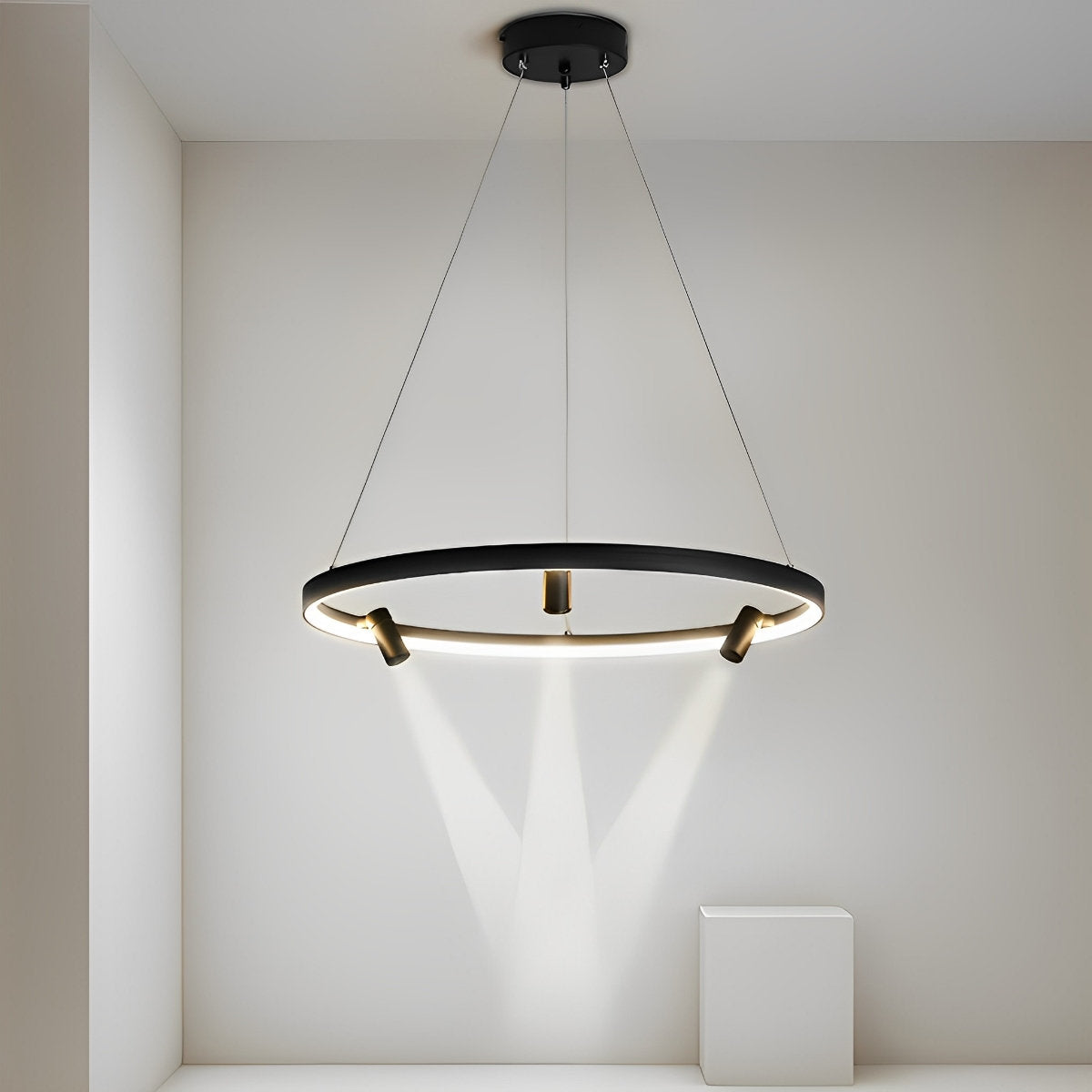 Unique Circle Pendant LED Ceiling Light Lamp