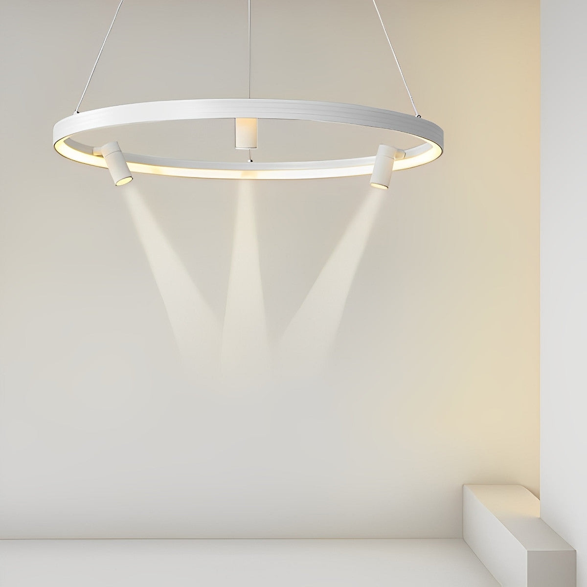 Unique Circle Pendant LED Ceiling Light Lamp