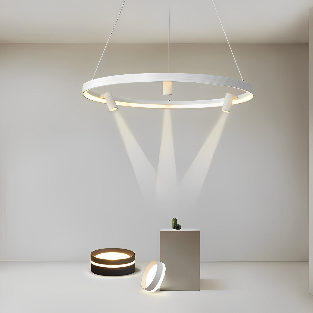 Unique Circle Pendant LED Ceiling Light Lamp